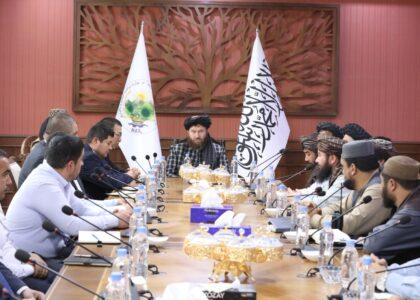 Uzbekistan ready for joint agriculture projects with Afghanistan