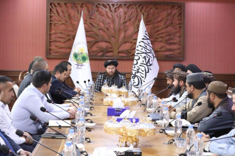 اوزبېکستان د افغانستان د کرنې سکټور کې د ګډو پروژو پلې کولو ته چمتووالی ښودلی