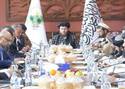 Omari urges Uzbekistan to expand transit facilities for Afghan traders