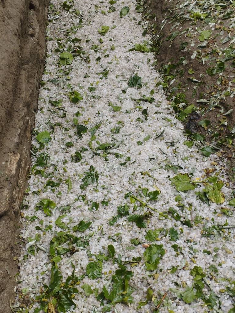 Five Killed Following Heavy Rain and Hailstorm in Kapisa