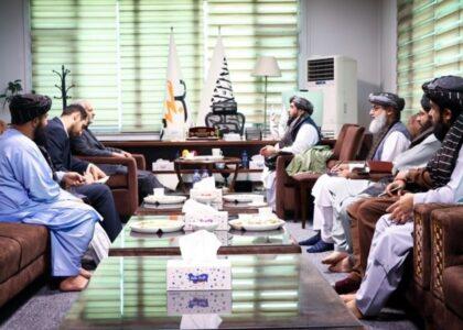 Afghanistan suitable investment platform for electricity sector: Hamkar