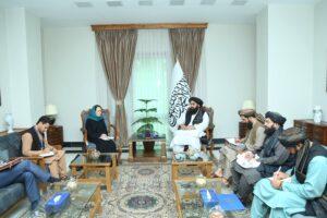 متقي: په نړۍوالو سازمانونو کې د افغانستان استازولي د افغان ولس حق دی