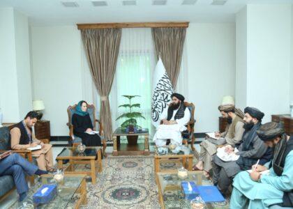 متقي: په نړۍوالو سازمانونو کې د افغانستان استازولي د افغان ولس حق دی