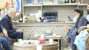 Kabul, Tehran stress boosting economic, trade ties