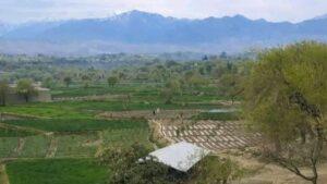 3 killed, 2 injured over land dispute in Nangarhar