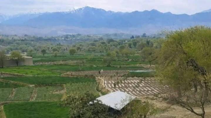نزاع بر سر زمین در ننگرهار؛ سه تن کشته و دو تن زخمی شدند