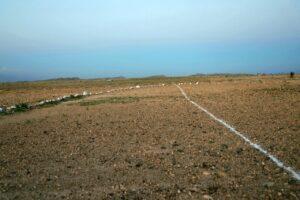 Land plots distributed to over 9,000 returning families last week