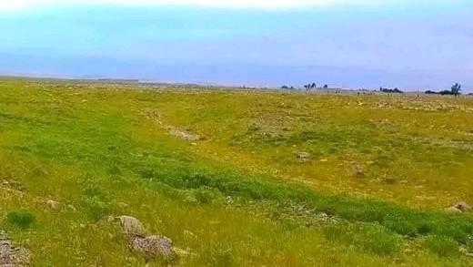 در پی انفجار یک مرمی در ننگرهار دو کودک کشته و زخمی شدند