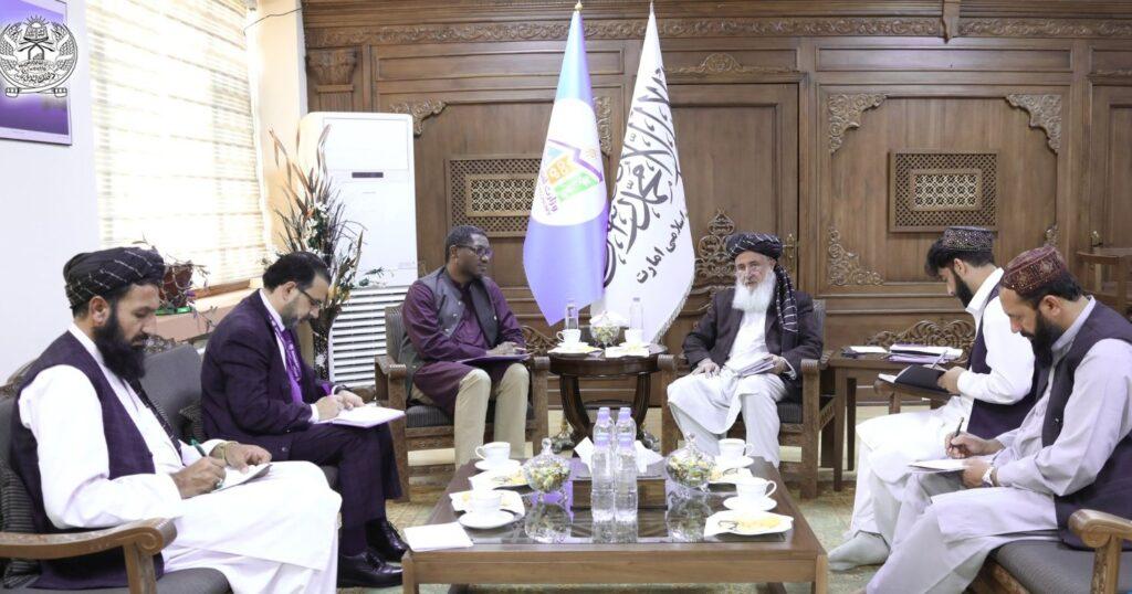 یونیسف: برای حمایت از عودت‌کننده‌گان در افغانستان ۵۲۰ میلیون دالر درخواست کرده‌ایم