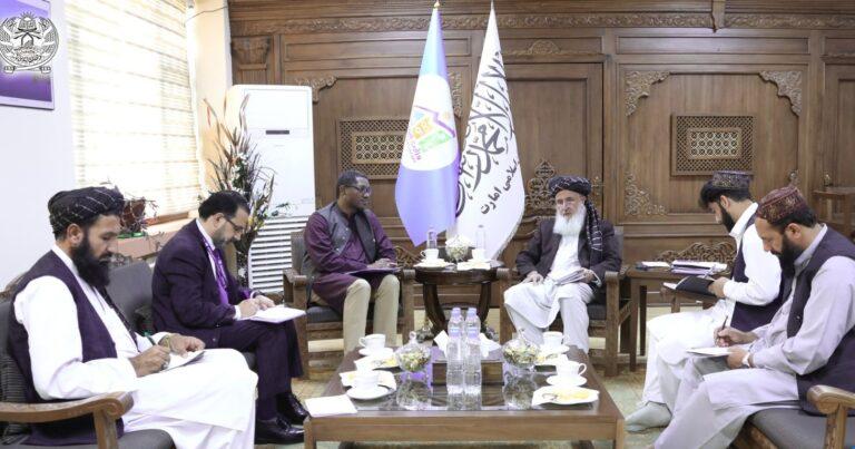 یونیسف: برای حمایت از عودت‌کننده‌گان در افغانستان ۵۲۰ میلیون دالر درخواست کرده‌ایم