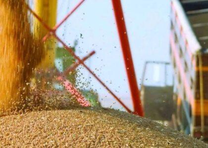    Kazakhstan’s grain exports to Afghanistan surge over fourfold