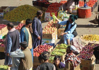 Herat governor urges swift export of fresh fruits to prevent losses