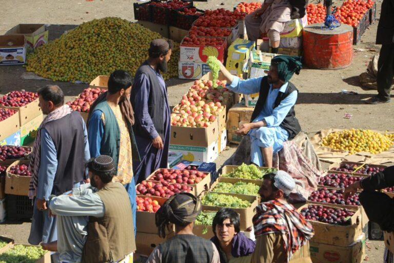 Herat governor urges swift export of fresh fruits to prevent losses