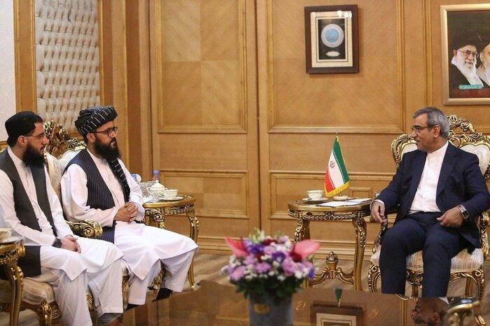 Kabul, Tehran need joint investment for economic growth: Mozaffari