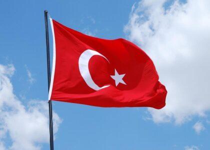 Turkey issues 20,000 work visas for Afghans in livestock sector