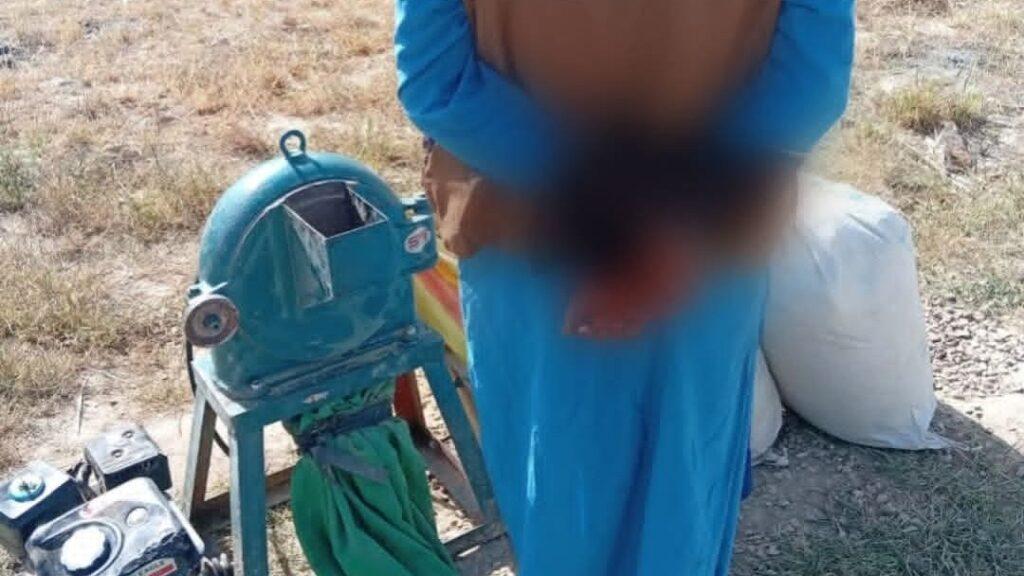 بازداشت یک تن به اتهام پروسس گیاه «اومان» در بادغیس