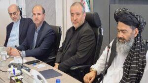 Afghanistan ready to expand joint investment with Iran: Mahmood
