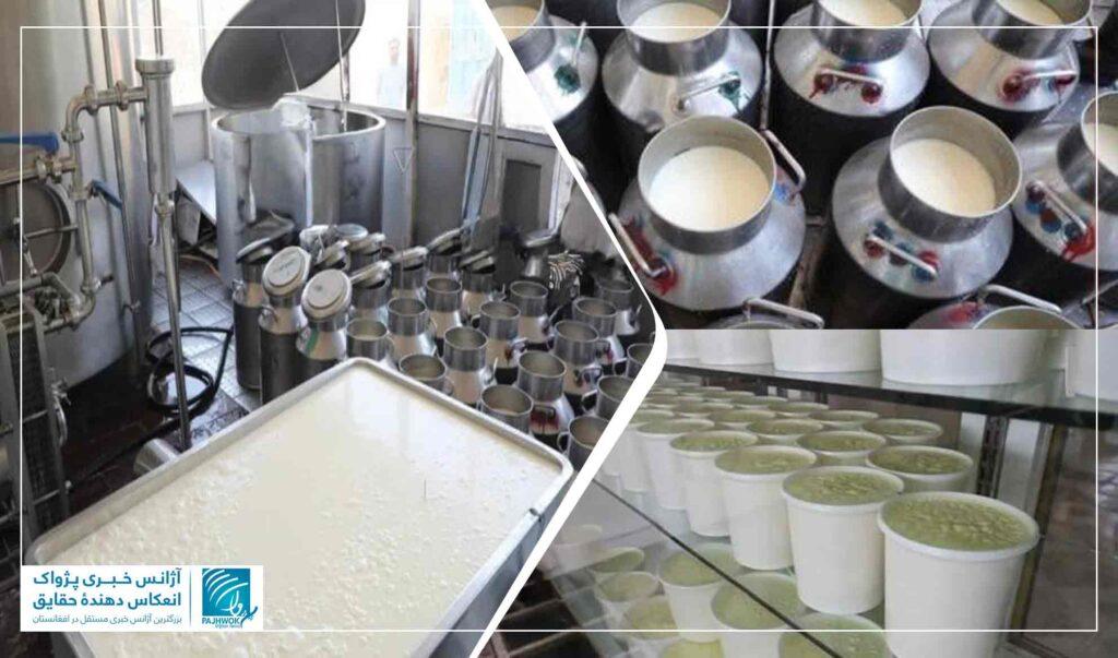 Herat produces 80 tonnes of fresh milk daily: Official
