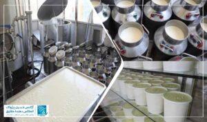Herat produces 80 tonnes of fresh milk daily: Official