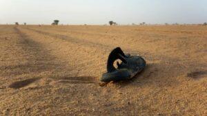 49 die of thirst after truck breaks down in Niger desert