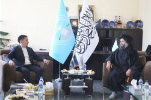 وزیر ترانسپورت و هوانوردی افغانستان با همتای اوزبیکستانی‌اش دیدار کرد