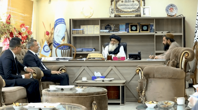 Afghan, Turkmen officials discuss expanding economic, trade cooperation