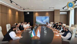 Afghan, Uzbek officials discuss expanding cooperation in pharmaceutical sector  