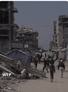 Gaza’s food security improvements remain fragile: WFP