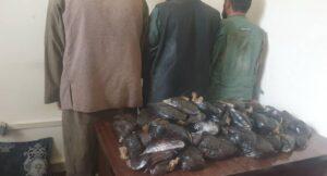 از قاچاق ۳۳۸ کیلوگرام مواد مخدر در تخار و نیمروز جلوگیری شد