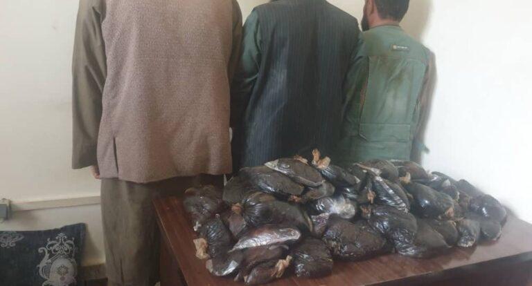 از قاچاق ۳۳۸ کیلوگرام مواد مخدر در تخار و نیمروز جلوگیری شد