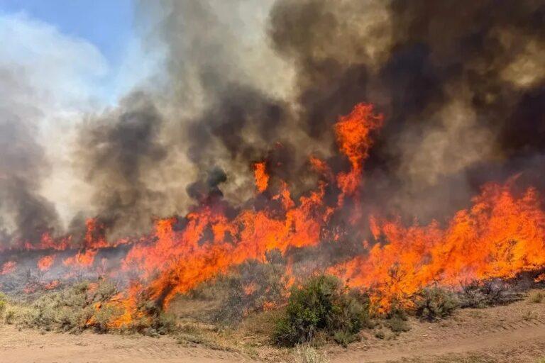 سقوط هلیکوپتر اطفائیه در ایالت یوتای امریکا جان دو تن را گرفت