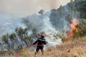 12 killed, 54 injured as wildfire ravage northeastern Algeria
