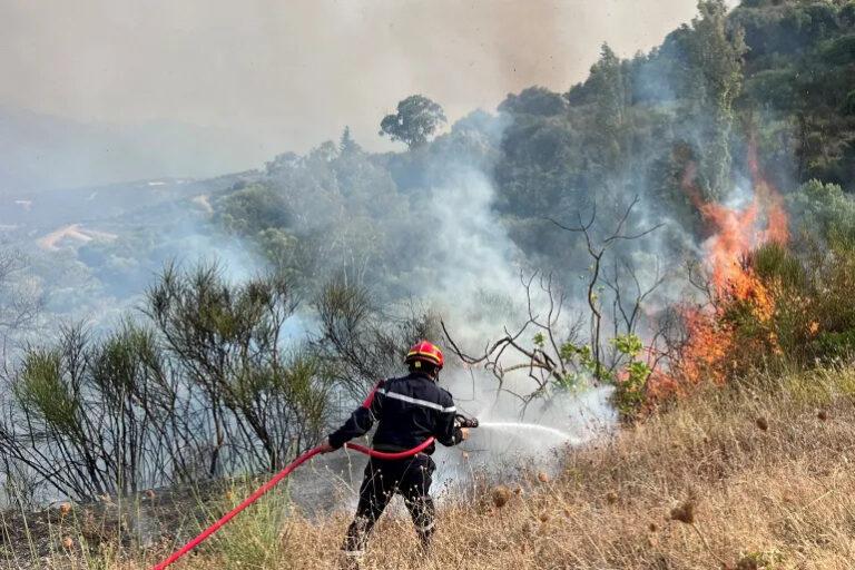 12 killed, 54 injured as wildfire ravage northeastern Algeria