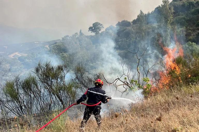 12 killed, 54 injured as wildfire ravage northeastern Algeria