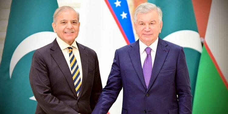Shehbaz stresses importance of Trans-Afghan railway project