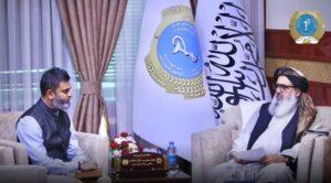 Afghanistan, India seek stronger health cooperation