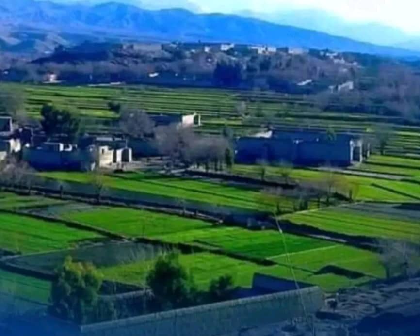 4 killed, 3 injured in Nangarhar land dispute