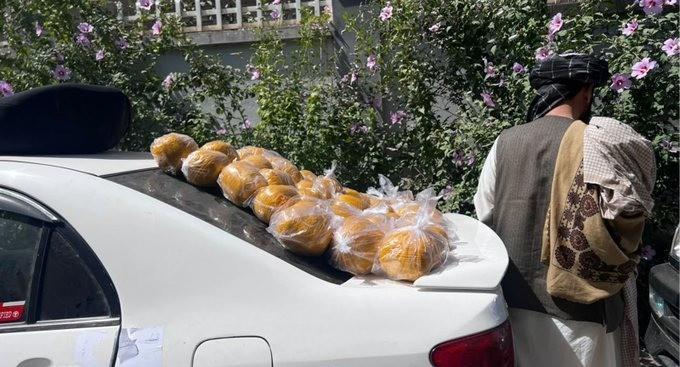 کشف و ضبط بیش از ۸۰۰ کیلوگرام مواد مخدر در سه ولایت