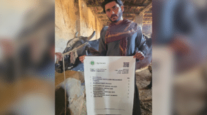 Jaghori or Pakistan? Mystery surrounds Qurbani project