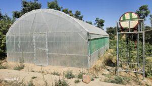 Heat, water shortages hit women’s cucumber greenhouses in Jawzjan