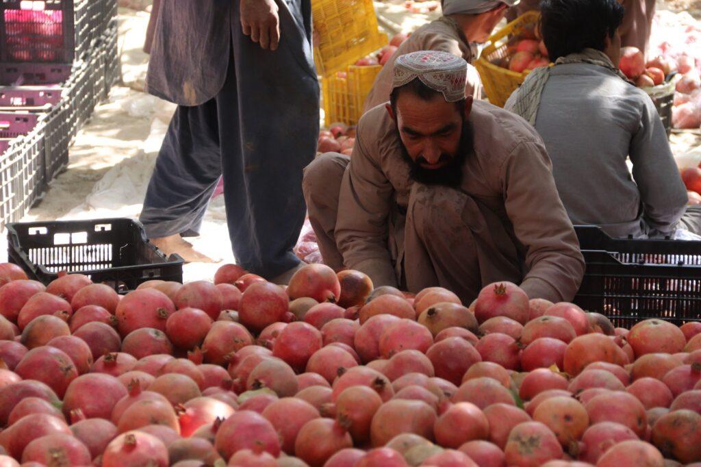 Pomegranate (2)