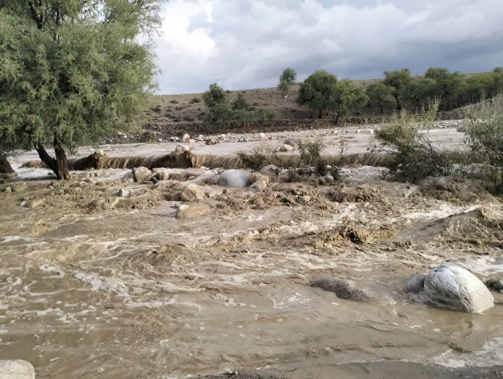 ننګرهار کې سختو ورښتونو او سېلابونو مالي او ځاني زیانونه اړولي