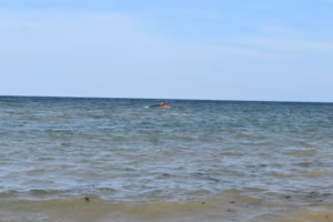 At least 139 migrants dead, 84 missing after boat capsizes off Djibouti
