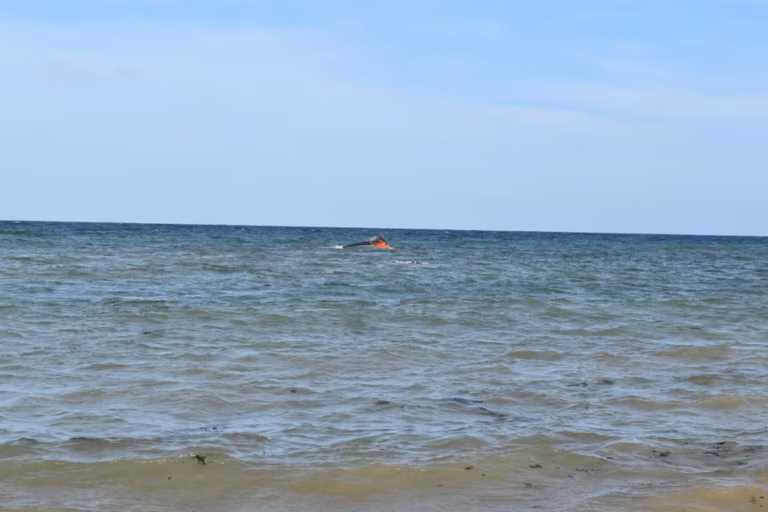 At least 139 migrants dead, 84 missing after boat capsizes off Djibouti