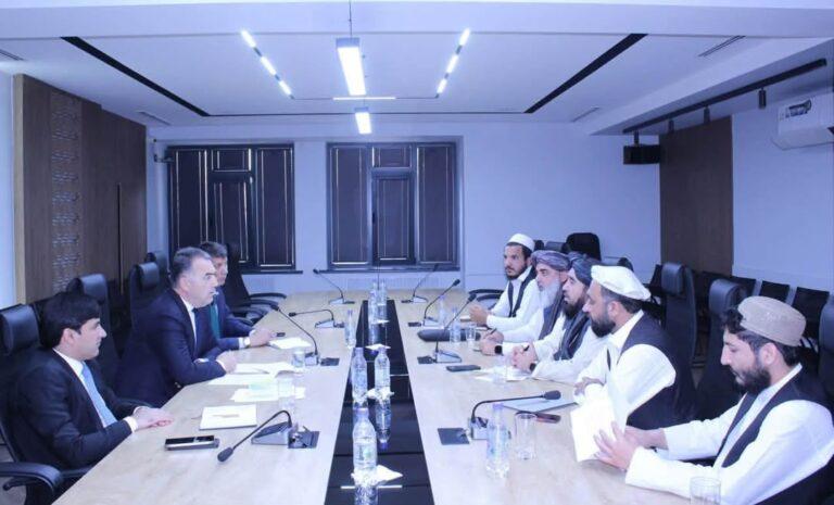 افغانستان و تاجکستان بر گسترش همکاری‌های انرژی تأکید کردند