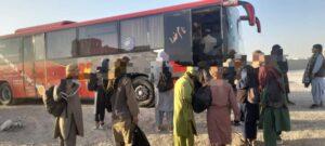 327 would-be migrants stopped, 753kg of medicines seized in Nimroz