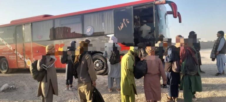 327 would-be migrants stopped, 753kg of medicines seized in Nimroz