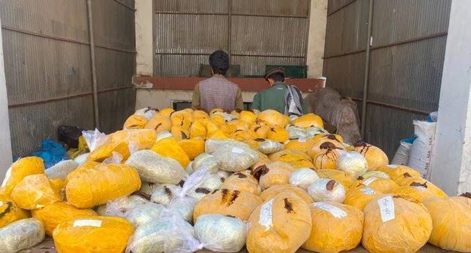 Over 550kg of drugs seized in Badakhshan, Maidan Wardak